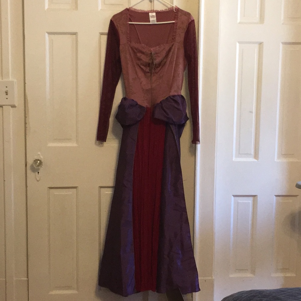 Adult Hocus Pocus Halloween Costume. Medium